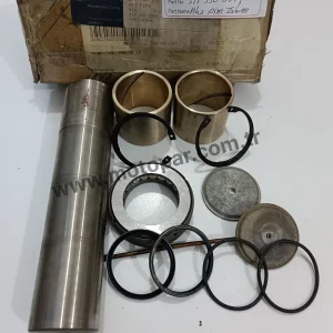 3913300019 / AKS PİM TAKIMI